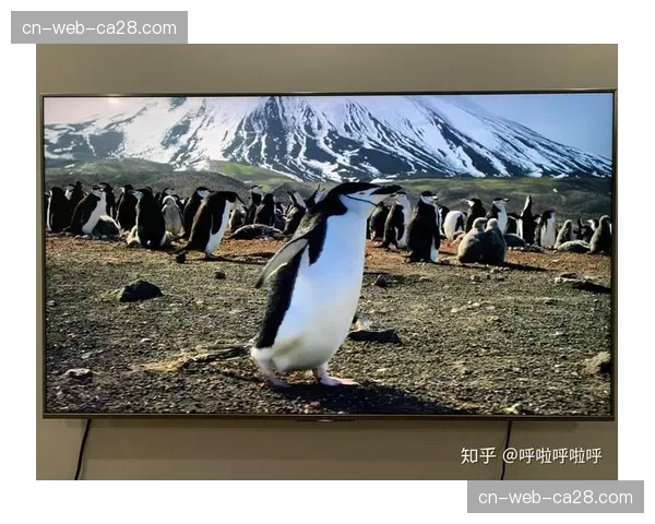 英超与英国电影协会合作，推出经典赛事4K修复纪录片系列